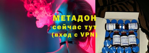 прущие грибы Верхний Тагил