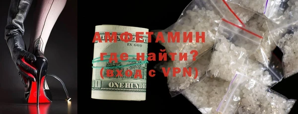прущие грибы Верхний Тагил