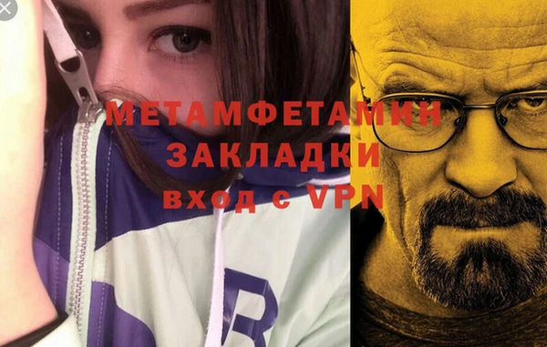 прущие грибы Верхний Тагил