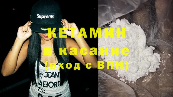прущие грибы Верхний Тагил